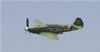 Warbirds